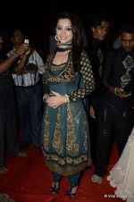 at ITA Awards red carpet in Mumbai on 4th Nov 2012 (183).JPG